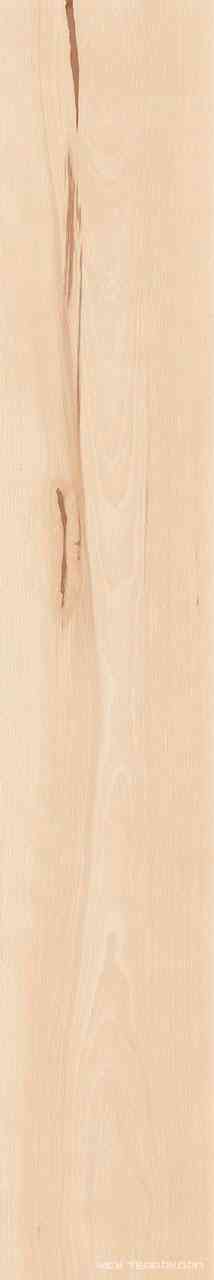 Log Cansei Sospiro ZZ 18.5x150