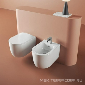 Сиденье для унитаза, с микролифтом, (цв. белый, петли цв. хром),  ArtСeram Monet MNA001 01; 71