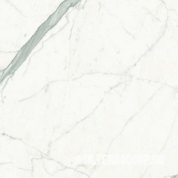 Statuario Altissimo Lucidato (Shiny) 6 mm ZZ |75x75