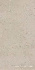 Керамогранит для пола и стены Leonardo Overcome OVRC 12W RM  (п.п.) 60x120 170630