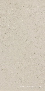 Керамогранит для пола и стены Leonardo Overcome OVRC 12W RM  (п.п.) 60x120 170630