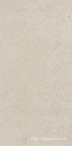Керамогранит для пола и стены Leonardo Overcome OVRC 12W RM  (п.п.) 60x120 170630