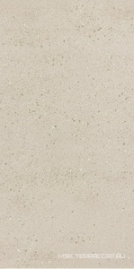 Керамогранит для пола и стены Leonardo Overcome OVRC 12W RM  (п.п.) 60x120 170630