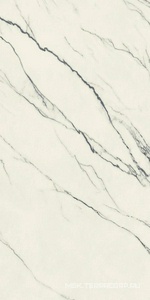 Керамогранит для пола и стены AtlasConcorde Россия FORTE DEI MARMI F.d.M. Lilac Rett 60x120 Cer/Ф.Д.М. Лилак Рет 60Х120 Чер 610015000655