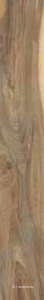 Керамогранит для пола Sadon sherwood  Walnut  15x100 Бежевый J90496