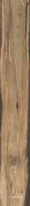 Керамогранит для пола Sadon sherwood  Walnut  15x100 Бежевый J90496
