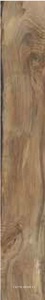 Керамогранит для пола Sadon sherwood  Walnut  15x100 Бежевый J90496
