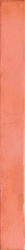 Colors Salmon 4,8x45