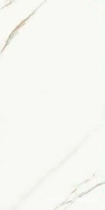 Керамогранит для пола и стены La Faenza Aesthetica AE EXT6 12 RM 60x120 182611