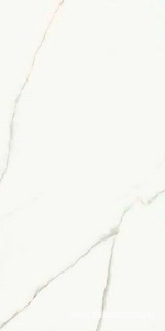 Керамогранит для пола и стены La Faenza Aesthetica AE EXT6 12 RM 60x120 182611