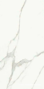 Керамогранит для пола и стены La Faenza Aesthetica AE EXT6 12 RM 60x120 182611