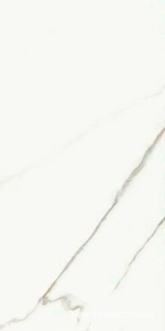 Керамогранит для пола и стены La Faenza Aesthetica AE EXT6 12 RM 60x120 182611