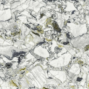 Керамогранит для пола и стены AtlasConcorde Россия FORTE DEI MARMI QUARK F.d.M.Quark Ceppo Ap. Forest Rett 80x80/Ф.Д.М.Кварк Чеппо Ап. Форест Рет 80Х80 610010002971