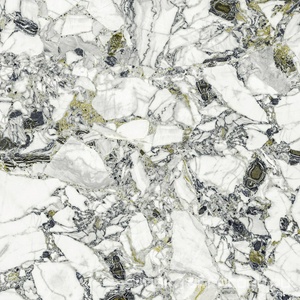 Керамогранит для пола и стены AtlasConcorde Россия FORTE DEI MARMI QUARK F.d.M.Quark Ceppo Ap. Forest Rett 80x80/Ф.Д.М.Кварк Чеппо Ап. Форест Рет 80Х80 610010002971