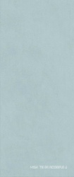 Boost Expression Cyan ZZ 50x120