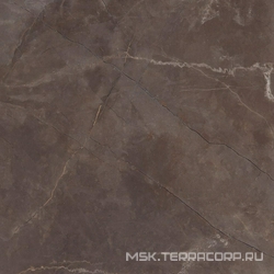 Керамогранит для пола Estima empire Грес  04  полированный XX60x60 Коричневый MP04