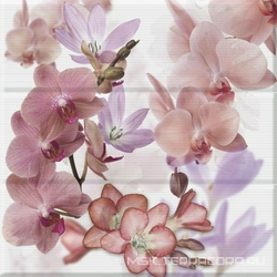 Comp. Orchides Berenjena XX |45x45
