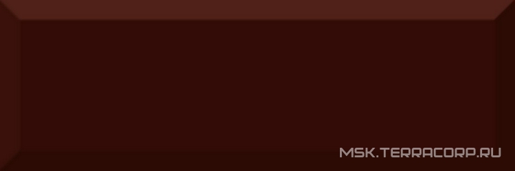 Monocolor Marron Biselado Brillo ZZ 10x30