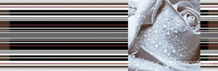 Dec. Rose 03 XX |15x45