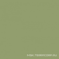 Моноколор зеленый ZZ|40x40