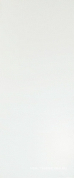 Solid White Matt 50x120 ZZ