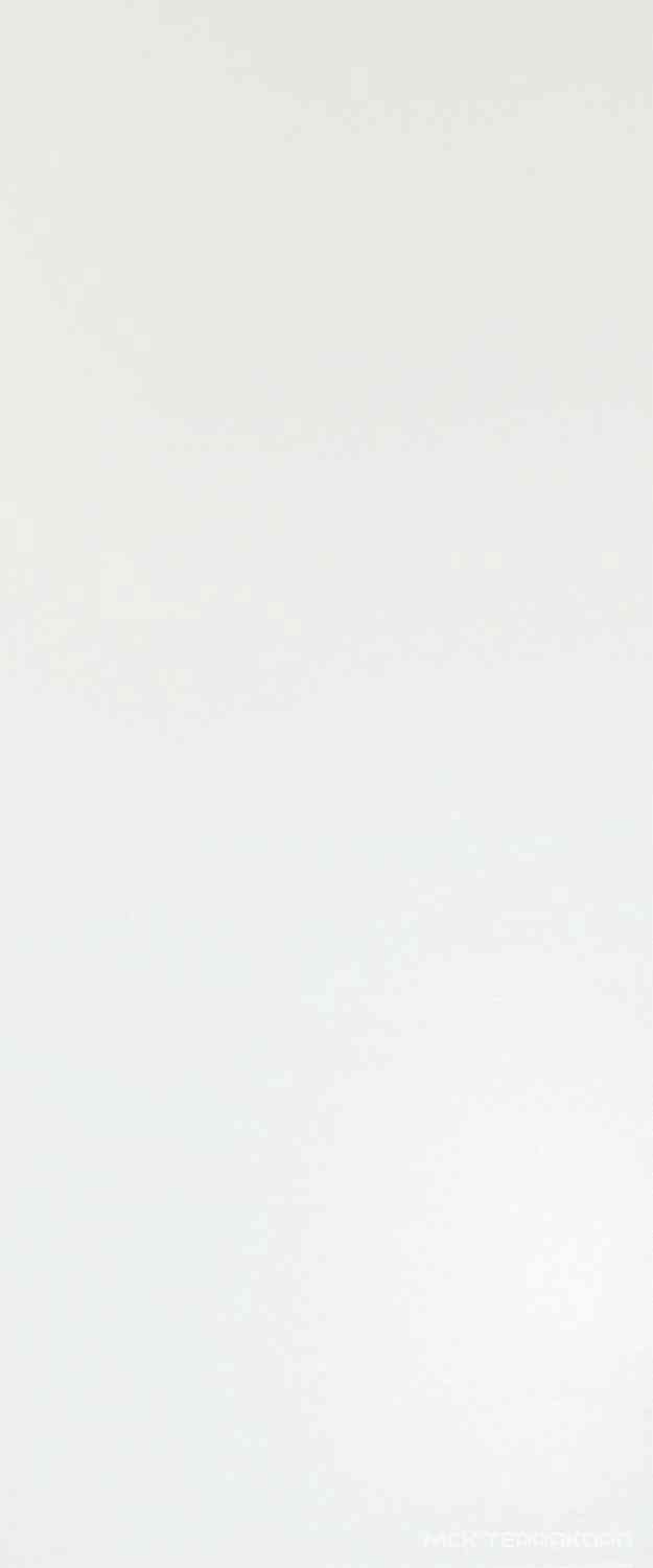 Solid White Matt 50x120 ZZ