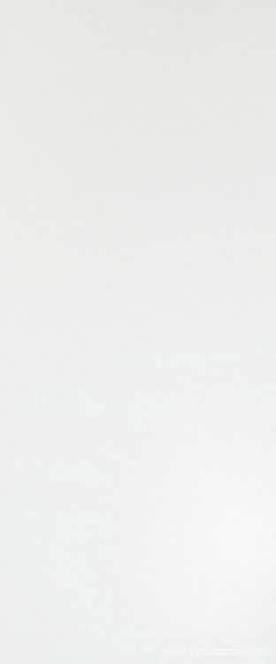 Solid White Matt 50x120 ZZ