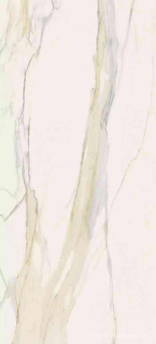 Calacatta Gold Matte ZZ 120x280