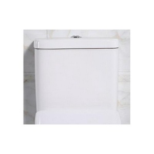 Бачок для напольного унитаза, (механизм смыва, кнопка цв.хром в компл.),  BelBagno Steam BB130T