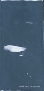 Керамическая плитка для стены APE Ceramica Switch Power Dark Blue Gloss 6,2x12,5 n126499