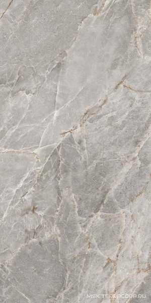 Majestic Grey Silky 60x120
