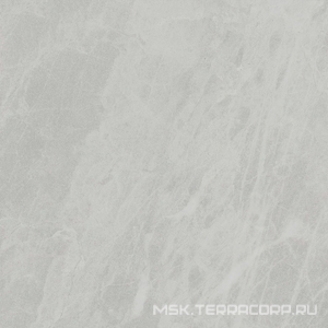 Керамогранит для пола и стены Ariostea Marmi Classici Gris De Savoie Luc ZZ60x60 PL6498
