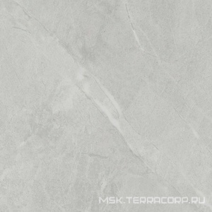 Керамогранит для пола и стены Ariostea Marmi Classici Gris De Savoie Luc ZZ60x60 PL6498