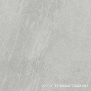 Керамогранит для пола и стены Ariostea Marmi Classici Gris De Savoie Luc ZZ60x60 PL6498