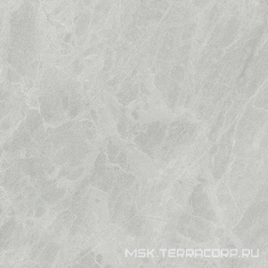 Керамогранит для пола и стены Ariostea Marmi Classici Gris De Savoie Luc ZZ60x60 PL6498