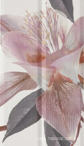 Декор Fanal Duo Decor  Blanco Flor 1 32.5x60 n009394