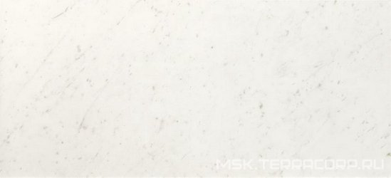 Carrara Brillante RT XX| 50x110