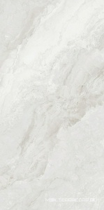 Керамогранит для пола и стены FMAX FMAX Chanel White glossy 90x180 F918G10128