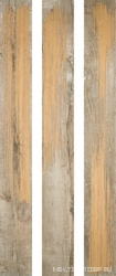 Paintgold B Mix ZZ |20x180