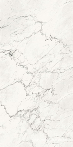 Керамогранит для пола и стены La Faenza Aesthetica AE CAL6 12 RM 60x120 179397