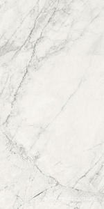 Керамогранит для пола и стены La Faenza Aesthetica AE CAL6 12 RM 60x120 179397