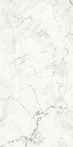 Керамогранит для пола и стены La Faenza Aesthetica AE CAL6 12 RM 60x120 179397