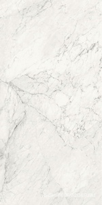 Керамогранит для пола и стены La Faenza Aesthetica AE CAL6 12 RM 60x120 179397