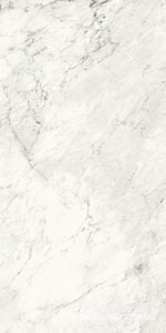 Керамогранит для пола и стены La Faenza Aesthetica AE CAL6 12 RM 60x120 179397