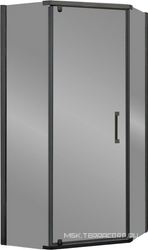 Душевой уголок 1000х1000хh1950мм, 5-ти угольный, распашн дверь правая/левая, с 2 неподв.сегмент, (стекло прозр.6мм, фурн.цв.воронен.сталь), Stresa ZZ