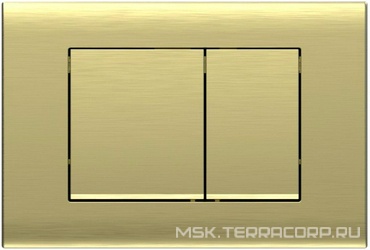 Клавиша двойного смыва, для инсталляции д/унитаза, (пластик цв.брашированное золото), Vincea ZZ