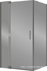 Душ уголок 900/1000х900хh2000мм, прямоуг.,правый/левый, расп.дверь с неподв.сегмен. и бок.стенкой, (стекло прозр.8мм, фурн.цв.воронен.сталь), Extra ZZ