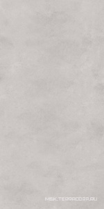 Керамогранит для пола и стены Zerde Sillent  light grey 60x120 00000004628