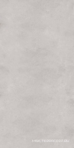 Керамогранит для пола и стены Zerde Sillent  light grey 60x120 00000004628