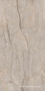 Керамогранит для пола и стены Leopard Monaco  Grey carving 60x120 n179652